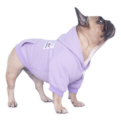 iChoue hoodie on a barrel-chested dog demonstrates easy dressing with a smooth zipper.
