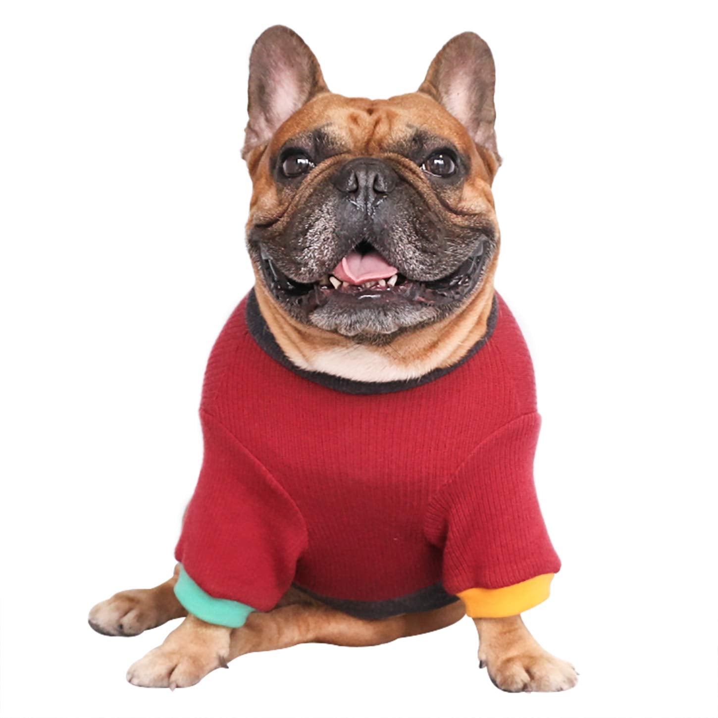 ichoue knitted warmth back view emphasizes cozy knit and sturdy fit for bulldogs