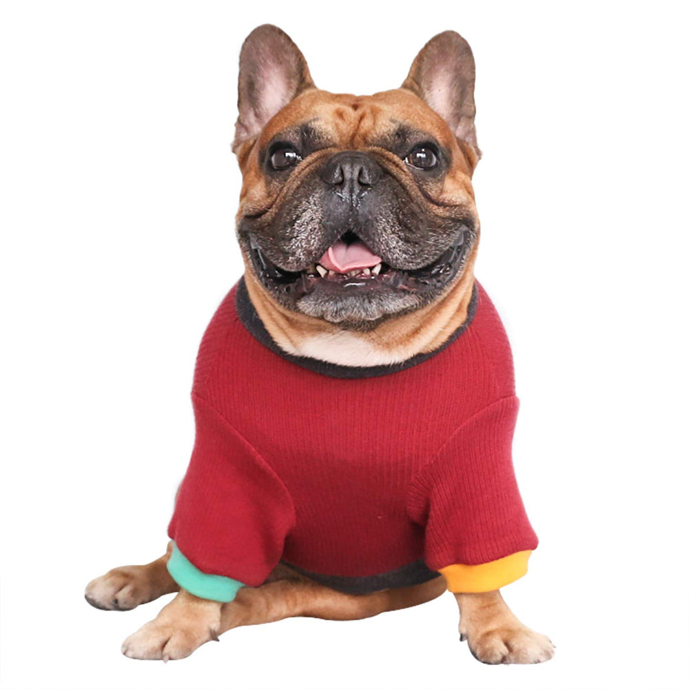 ichoue knitted warmth back view emphasizes cozy knit and sturdy fit for bulldogs