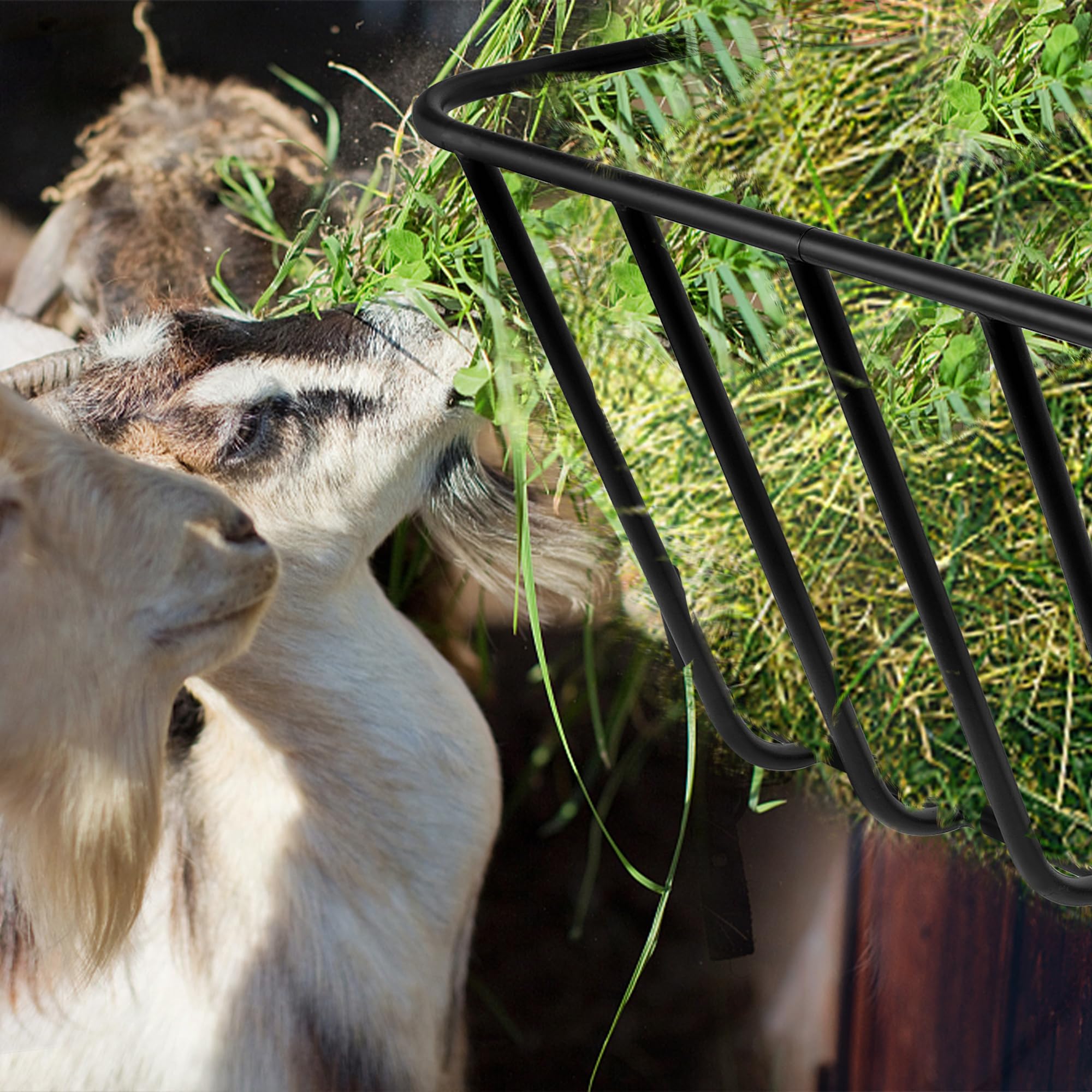 ICITYWALL hay feeder mounted in a farm stable for versatile use