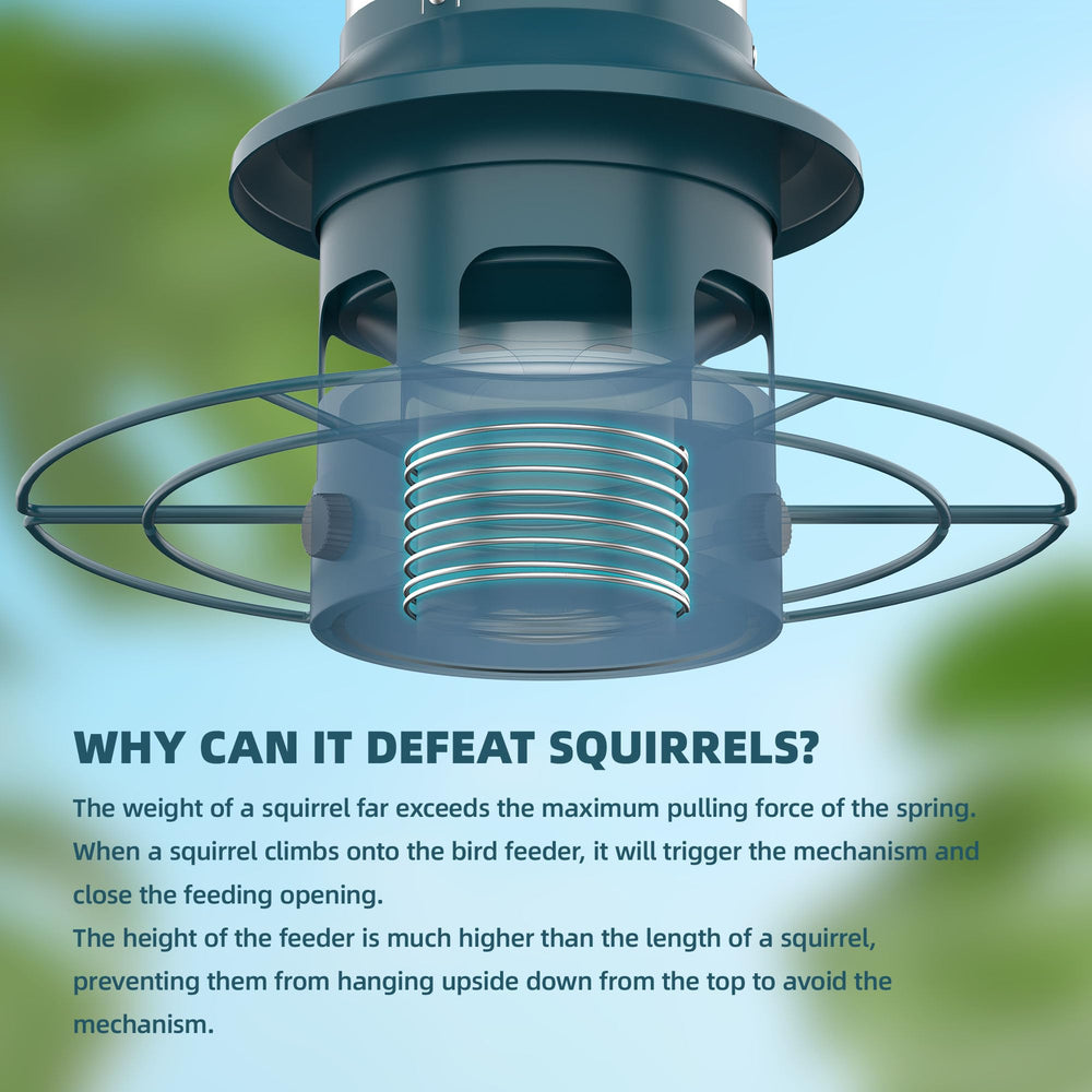Icreer Bird Feeder attracts finch, cardinal, and chickadee visitors.