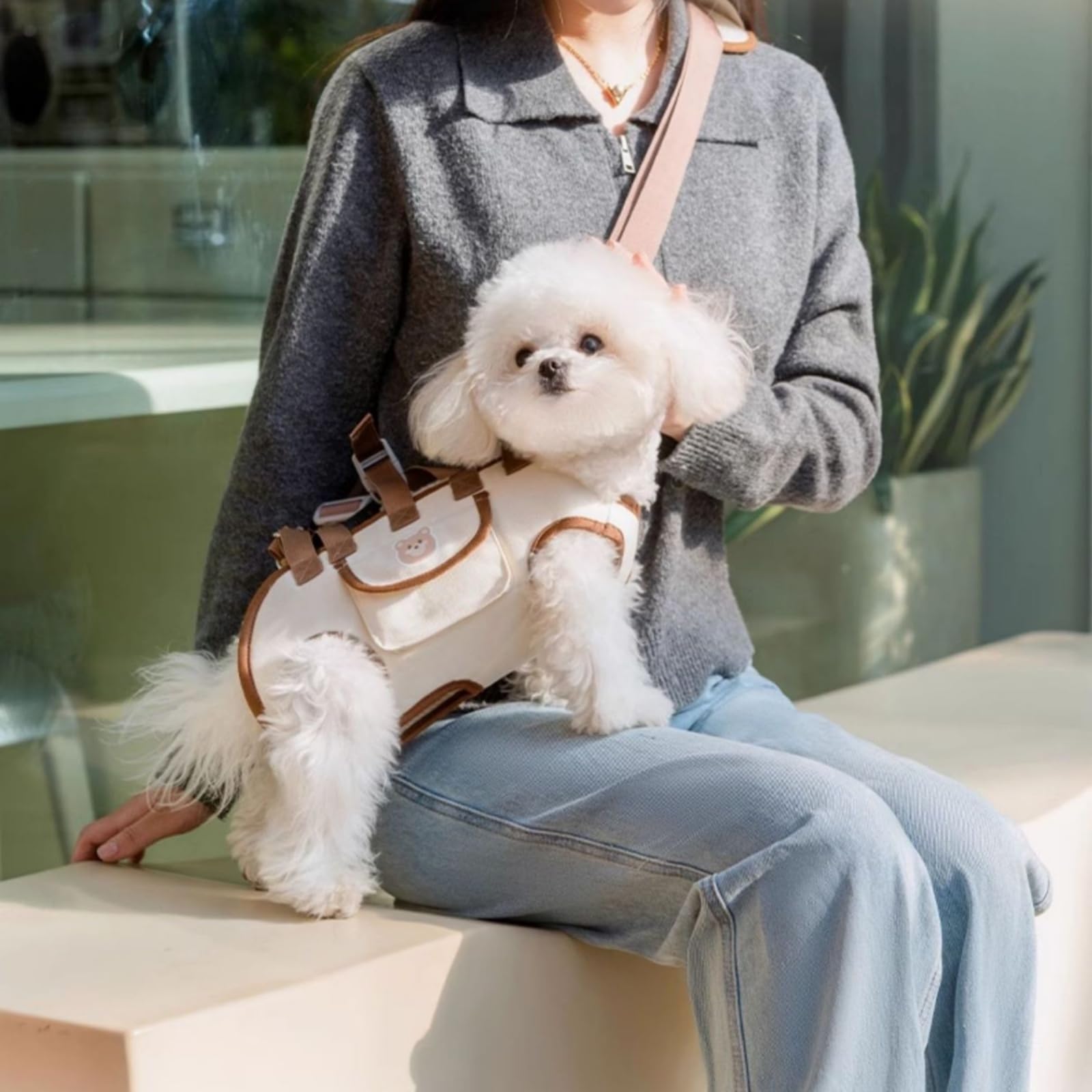 IcyByte car-friendly interior design enables safer travel for pets in vehicles.