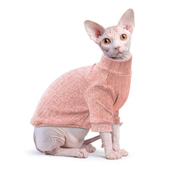 Idepet cat and teacup Chihuahua model wearing sweater demonstrates easy pullover fit.