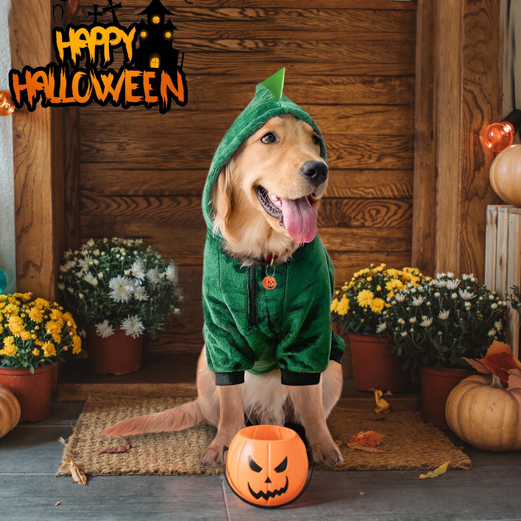 Idepet dinosaur-costume zipper design shows easy on/off.