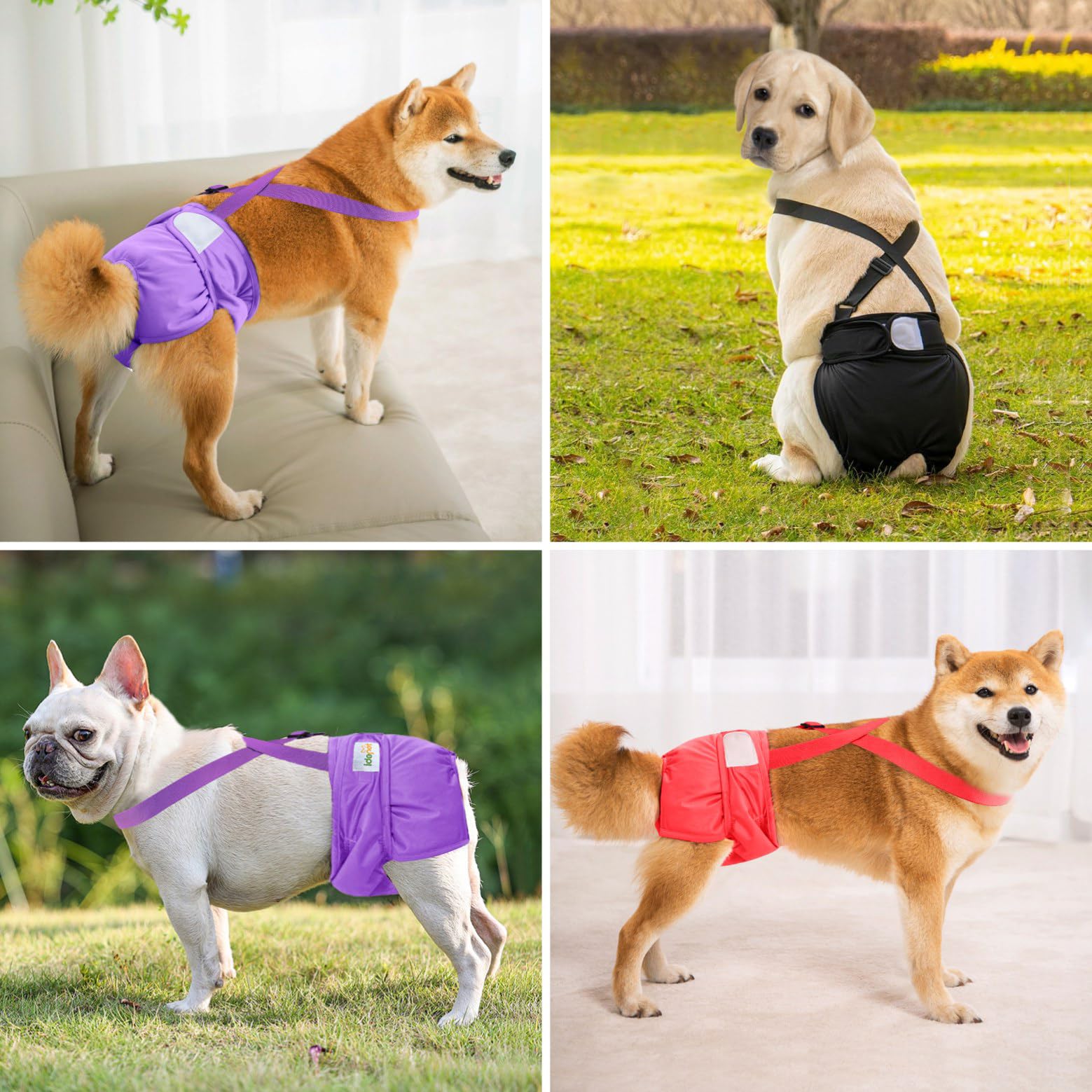 Idepet diaper has absorbent pad for containment and comfort.