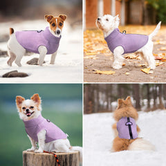 Idepet fleece vest keeps small and medium dogs warm without bulk.
