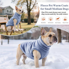 Idepet sky blue winter coat showcases warm stylish outerwear for small dogs