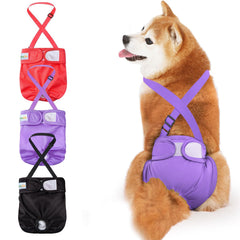 Idepet female dog diaper with suspenders keeps dogs secure during walks.