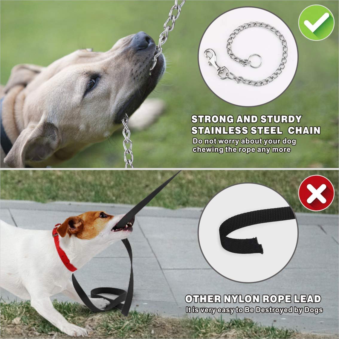 Idepet 16ft extended leash gives extra freedom for sniffing and exploration.