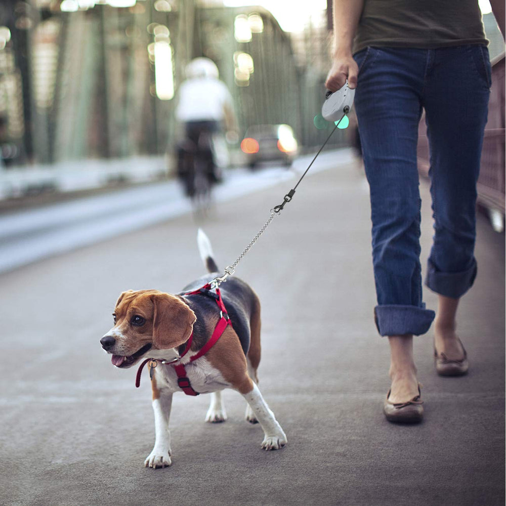 Idepet leash is suitable for small and medium dogs during daily strolls.