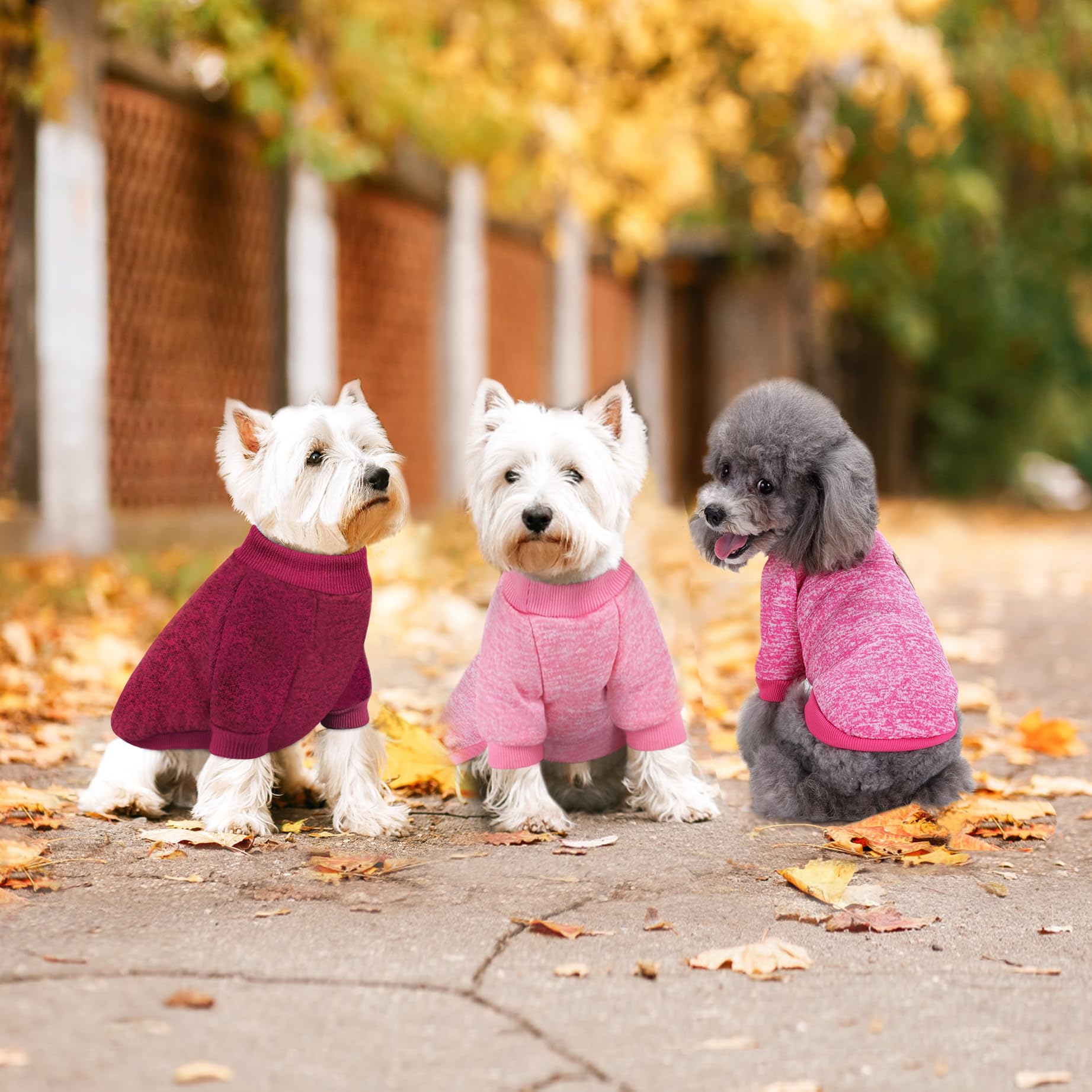 Idepet knitwear Christmas dog clothes — festive look for cats and dogs.