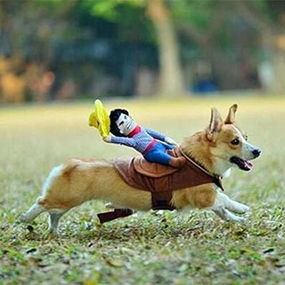Idepet packaged pet costume ready for gifting or quick dress-up