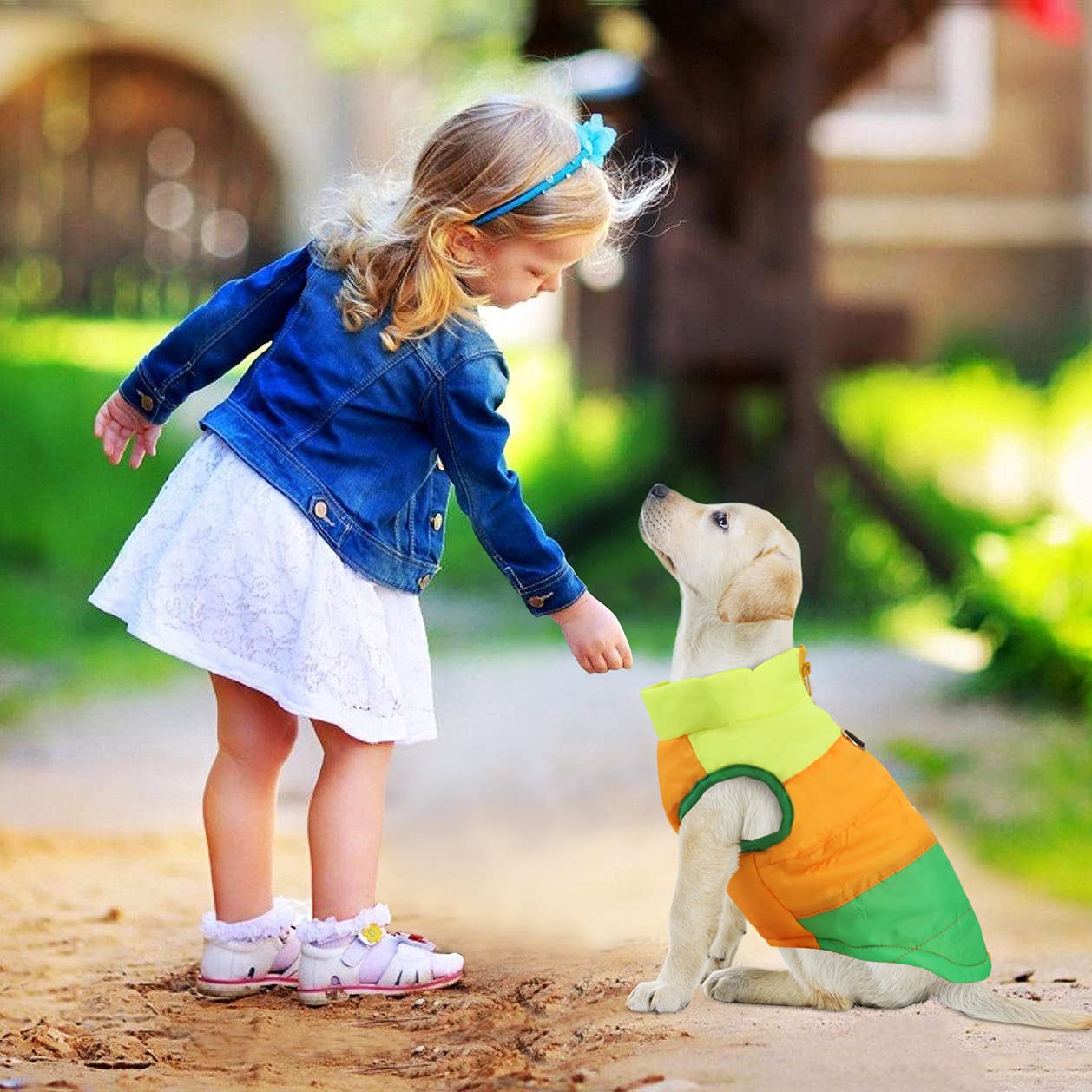 Idepet patchwork vest on pet green, perfect for holiday photos and walks