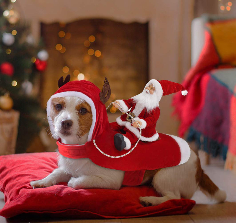 Idepet pet winter hoodie velvet detail conveys warmth and cozy wearing