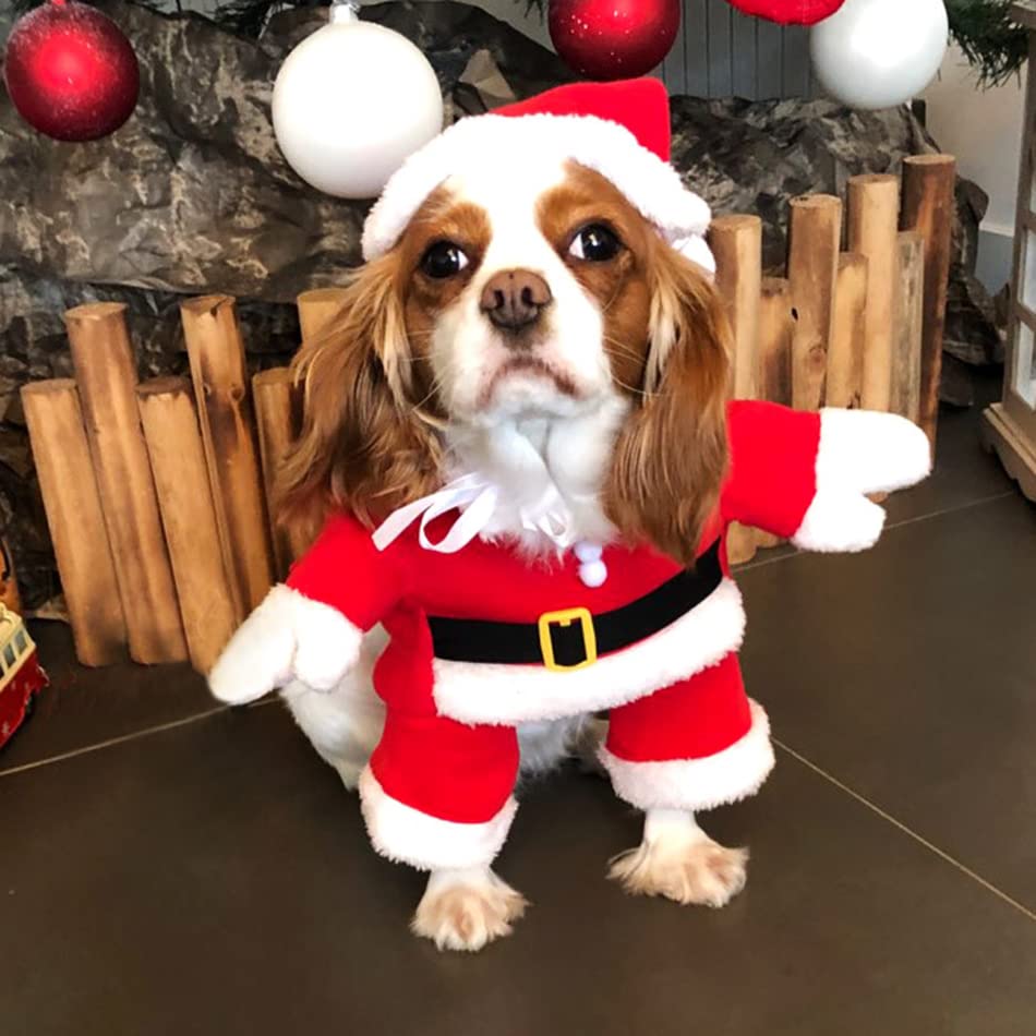 Idepet Santa dog costume front view highlights cute Christmas styling.