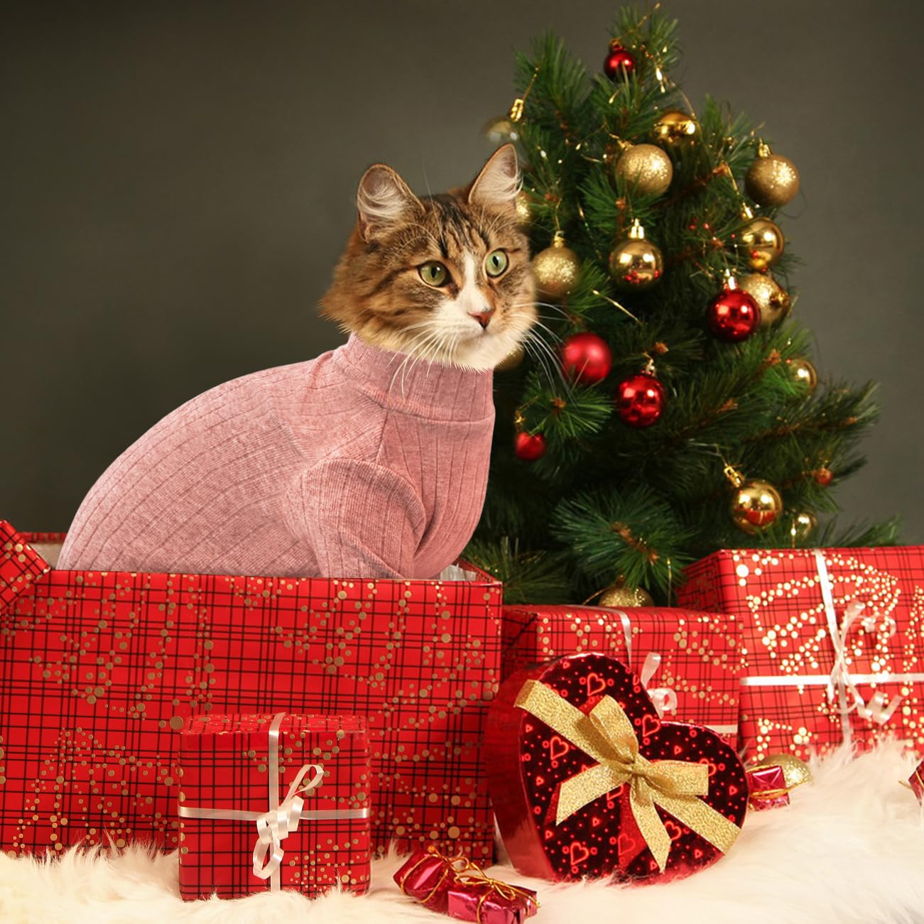 Idepet size guidance for hairless cats and small dogs ensures comfortable fit.
