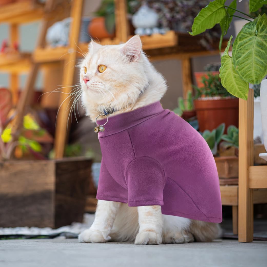 Idepet Sphynx sweater model-ready pose shows vibrant purple-brown colors