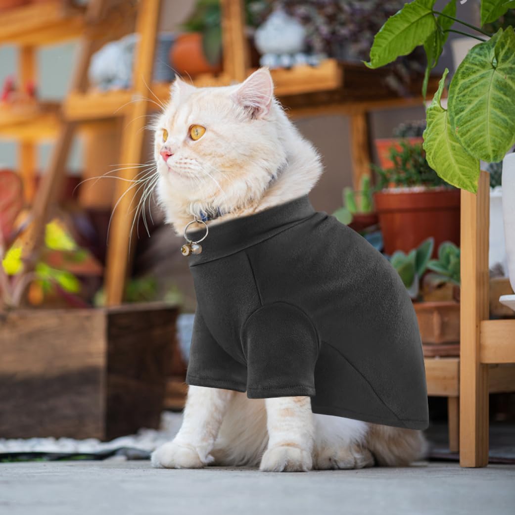 Idepet Sphynx sweater worn as winter sleepwear for kittens.