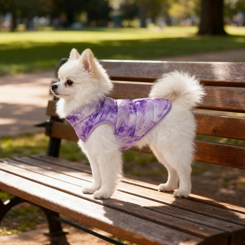 Idepet talla XS a L, ideal para gatos y perros pequeños.