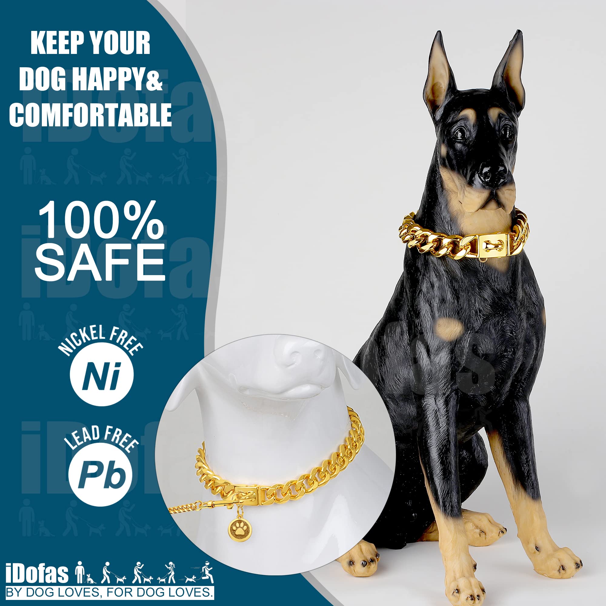 iDofas Gold Dog Chain Collar park-walk scene shows stylish daily wear and comfort.
