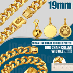 iDofas Gold Dog Chain Collar secure-buckle demonstrates quick-lock for confident handling.