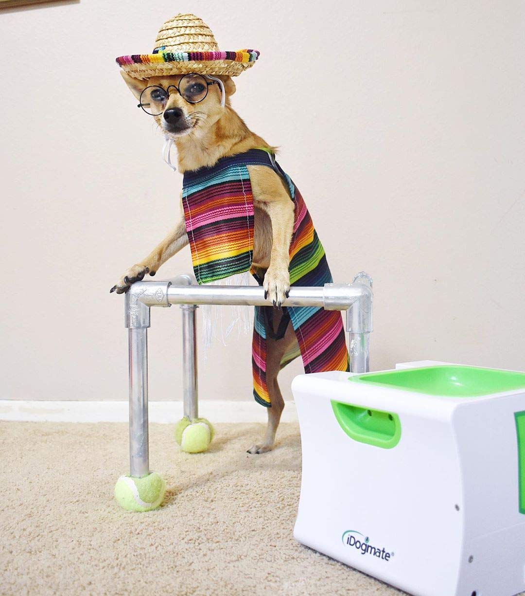 IDOGMATE ball-launcher-3-balls-set shows included mini balls for variety.
