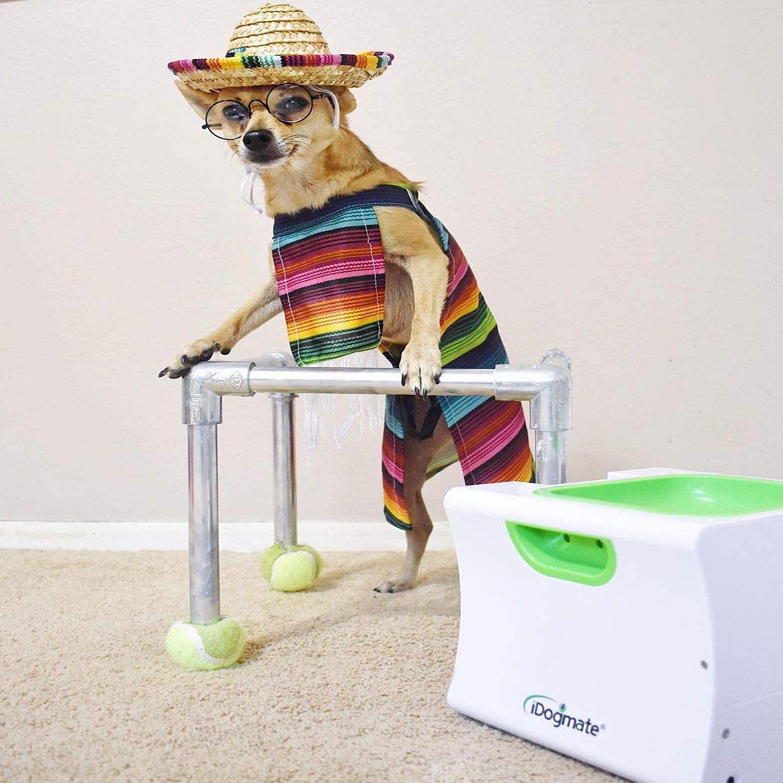 IDOGMATE ball-launcher-remote-control demonstrates convenient indoor control for play.