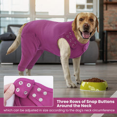 IDOMIK dog leg sleeve protects rear legs to prevent licking during healing.