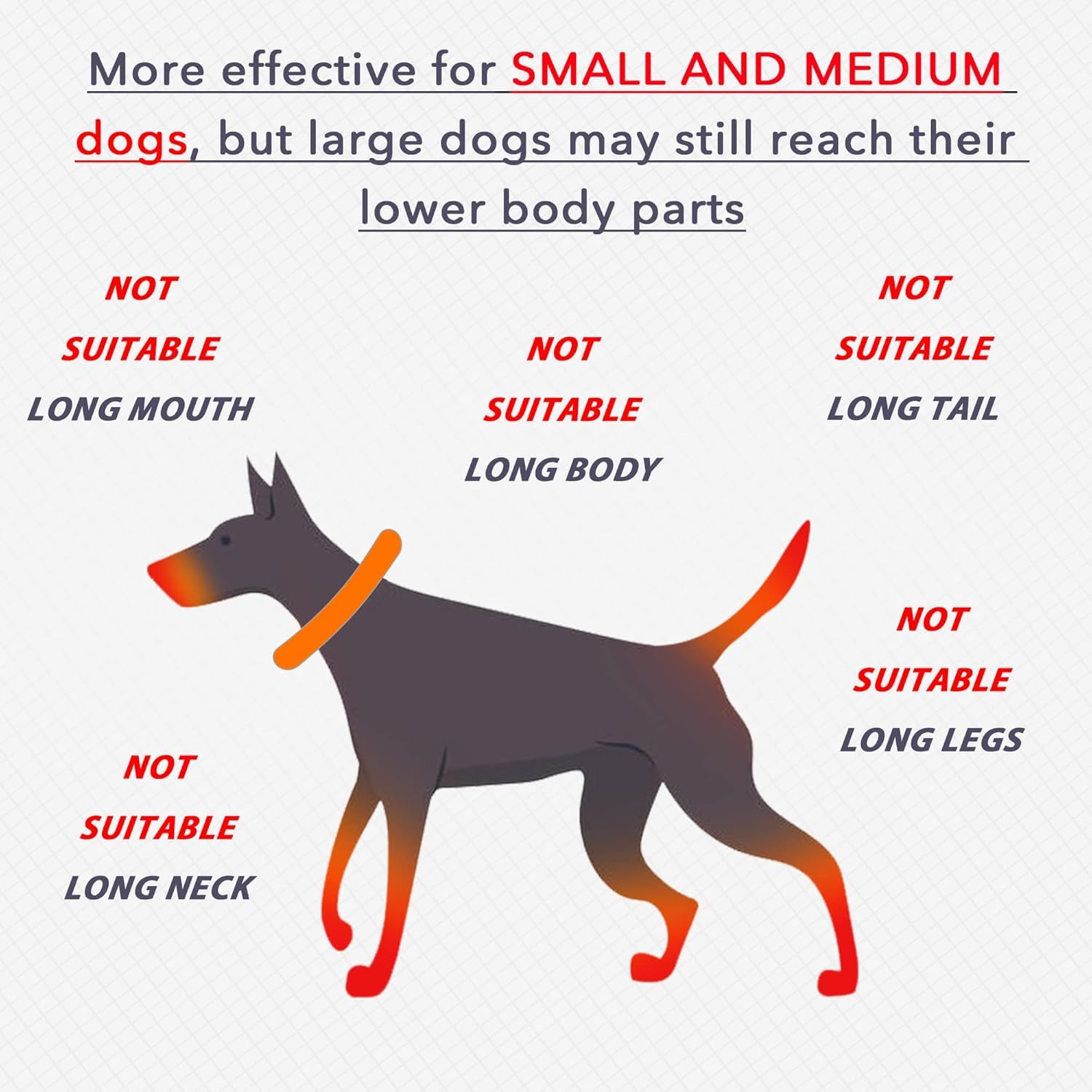 IDOMIK dog recovery collar different breeds fits dogs and cats after surgery.