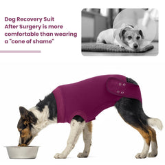 IDOMIK Dog Recovery Suit easy-wear magic-tape demonstrates simple on-off design.