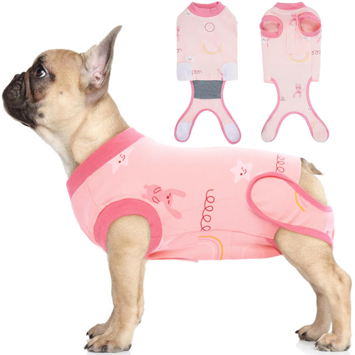 IDOMIK dog recovery suit female spay on model dog providing post-surgery protection
