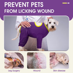 IDOMIK dog recovery suit on dog demonstrates unrestricted movement during recovery.