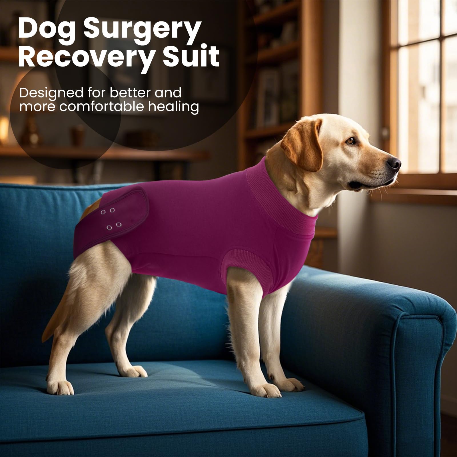 IDOMIK Dog Recovery Suit postop-use-scenario shows practical home recovery support.