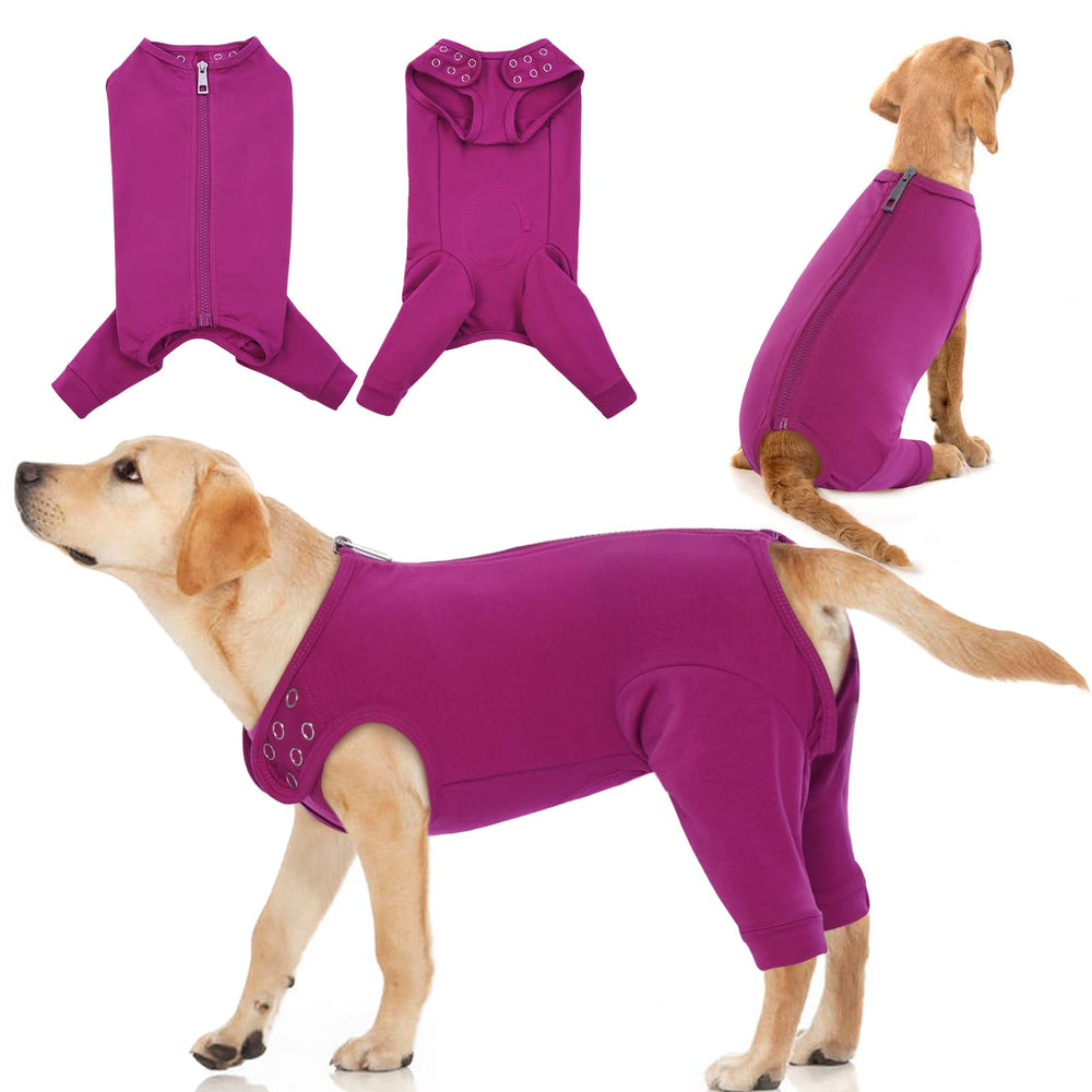 IDOMIK dog recovery suit purple back zipper for easy on/off during recovery.
