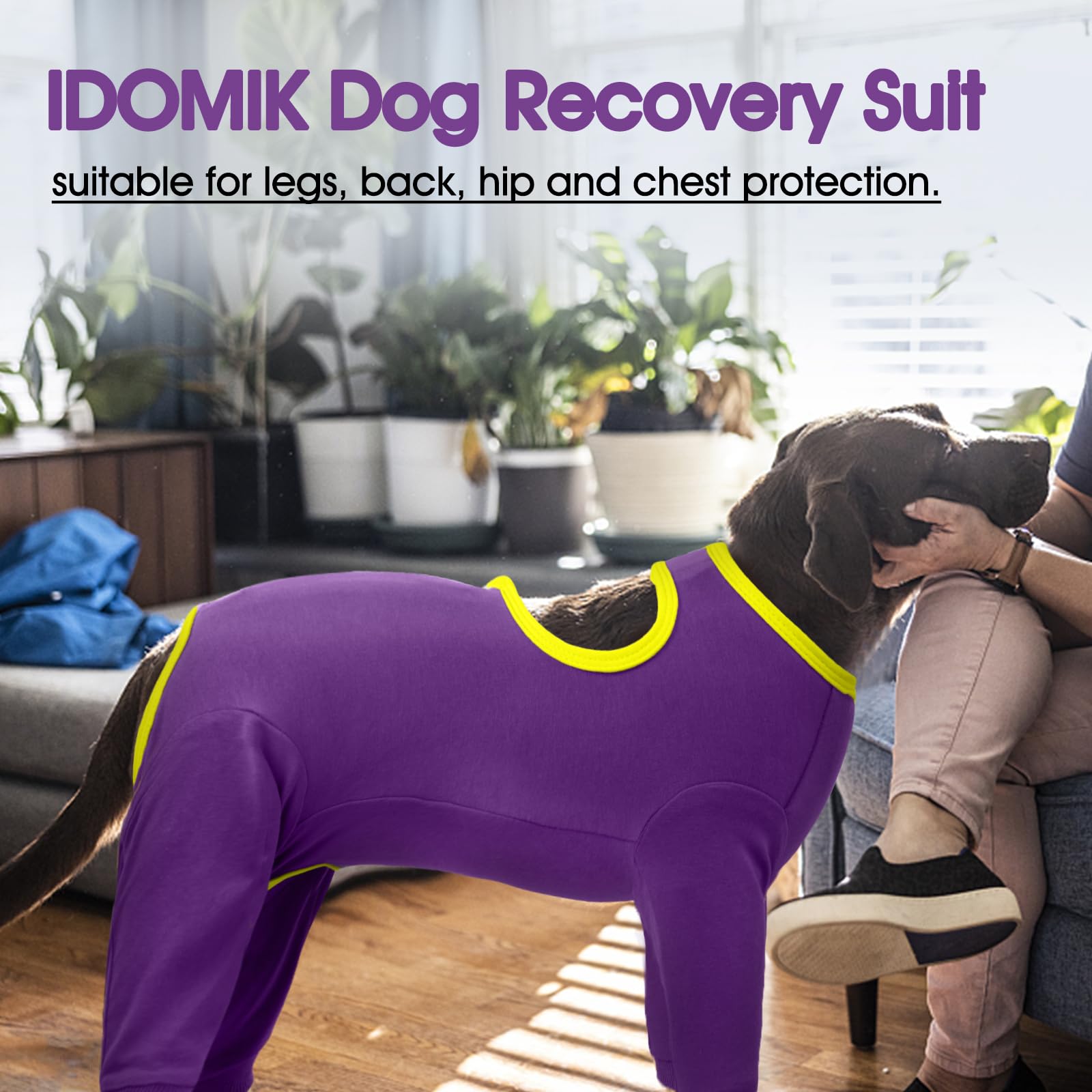 IDOMIK dog recovery suit size chart illustrates availability from S to 3XL.