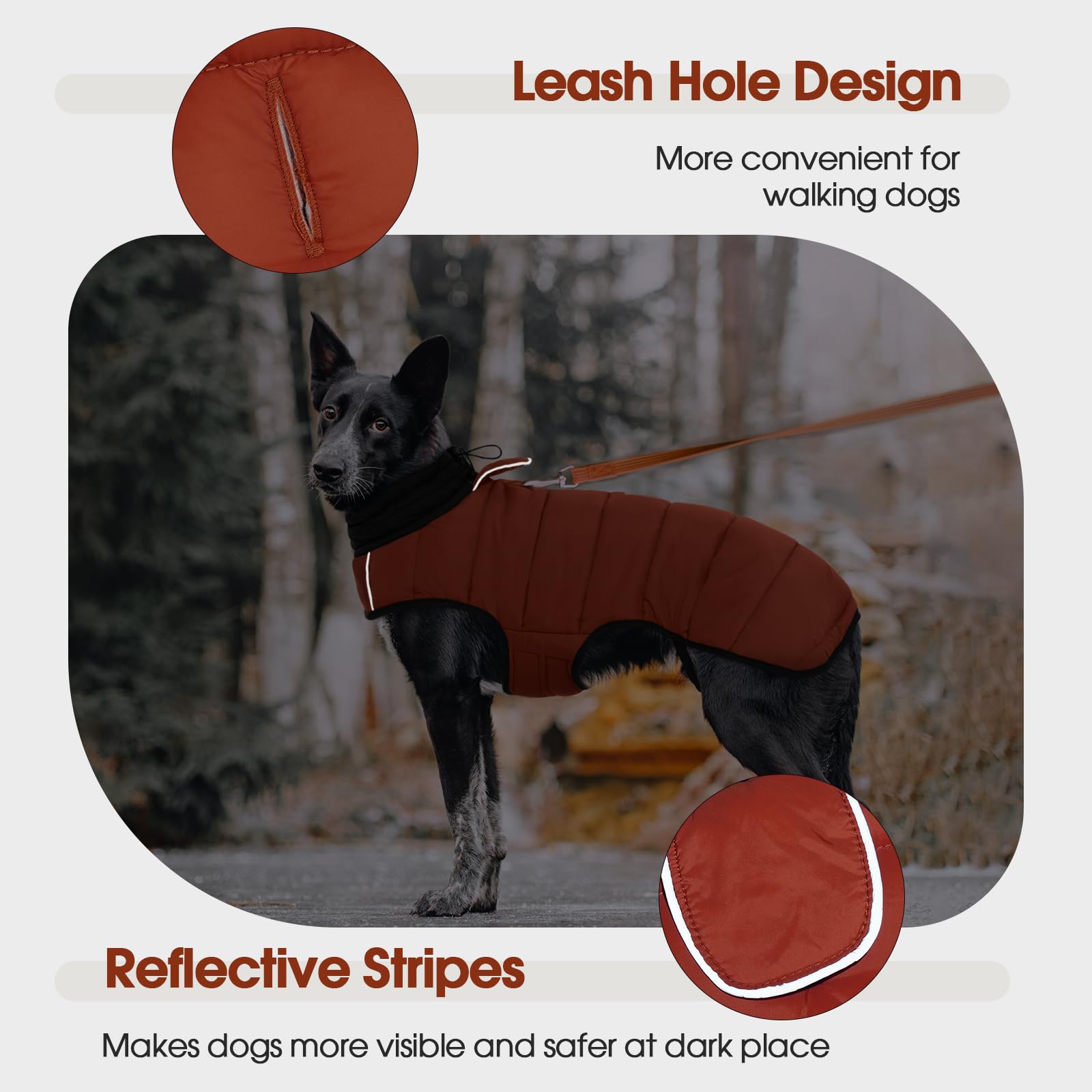 IDOMIK dog winter coat extended high neck shields neck during cold strolls