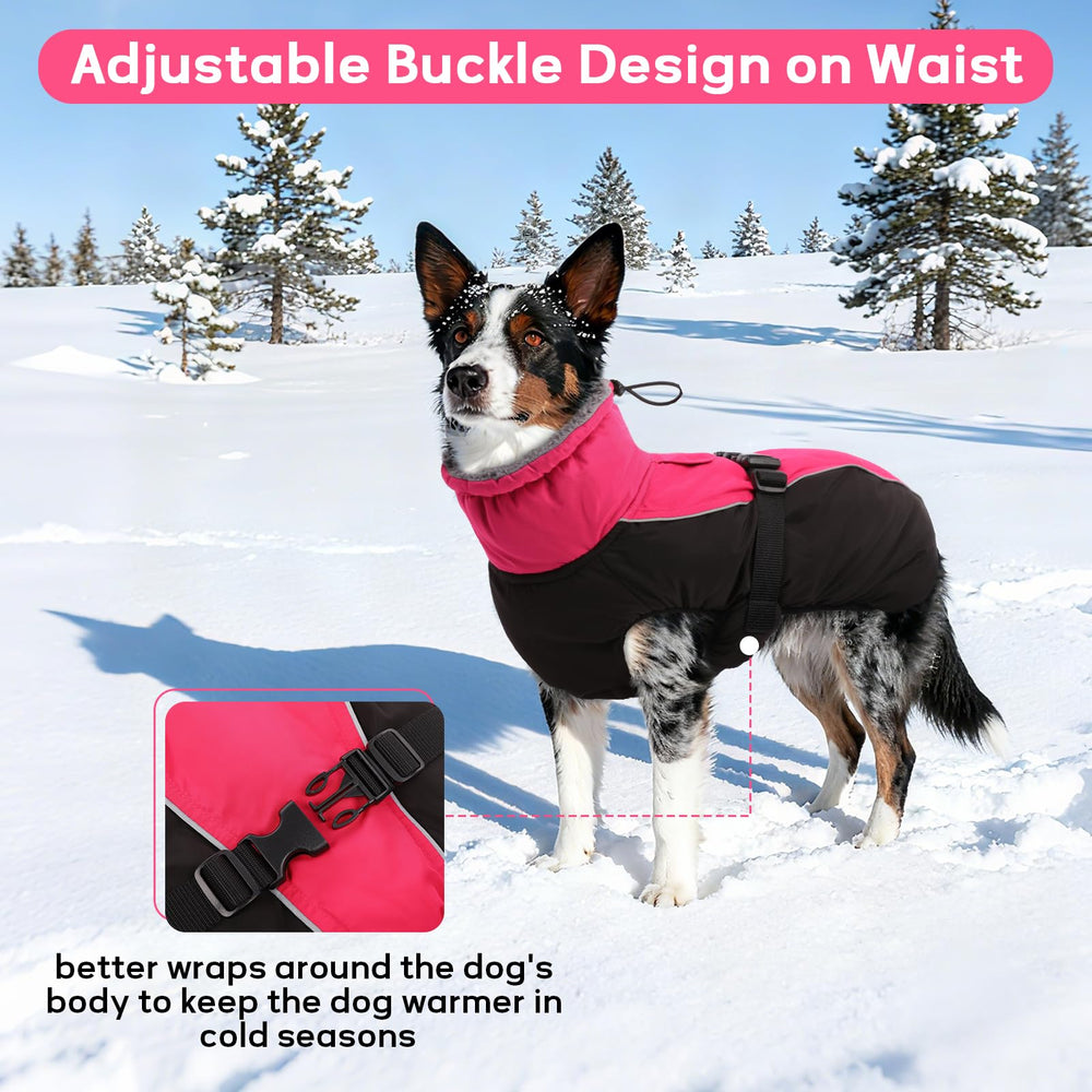 IDOMIK Dog Winter Coat high collar highlights neck protection and wind blocking in chilly winds