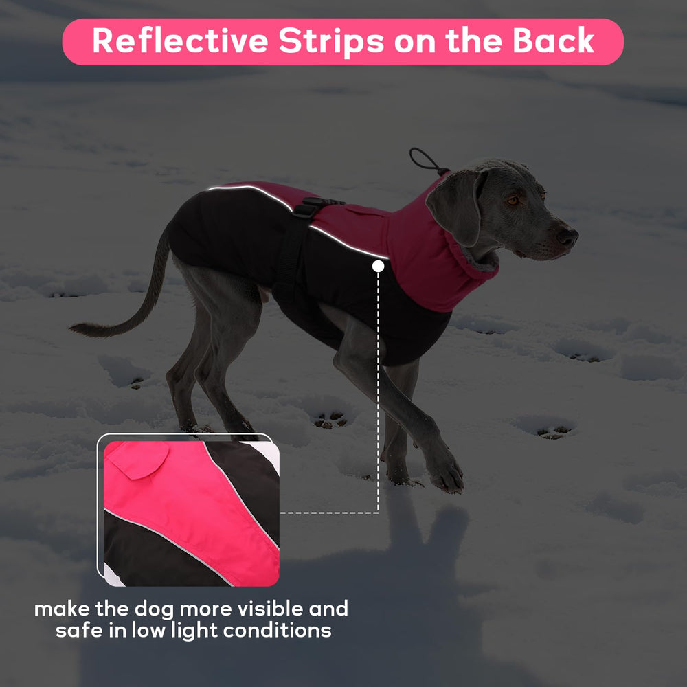 IDOMIK Dog Winter Coat leash portal shows hidden access for harness and leash