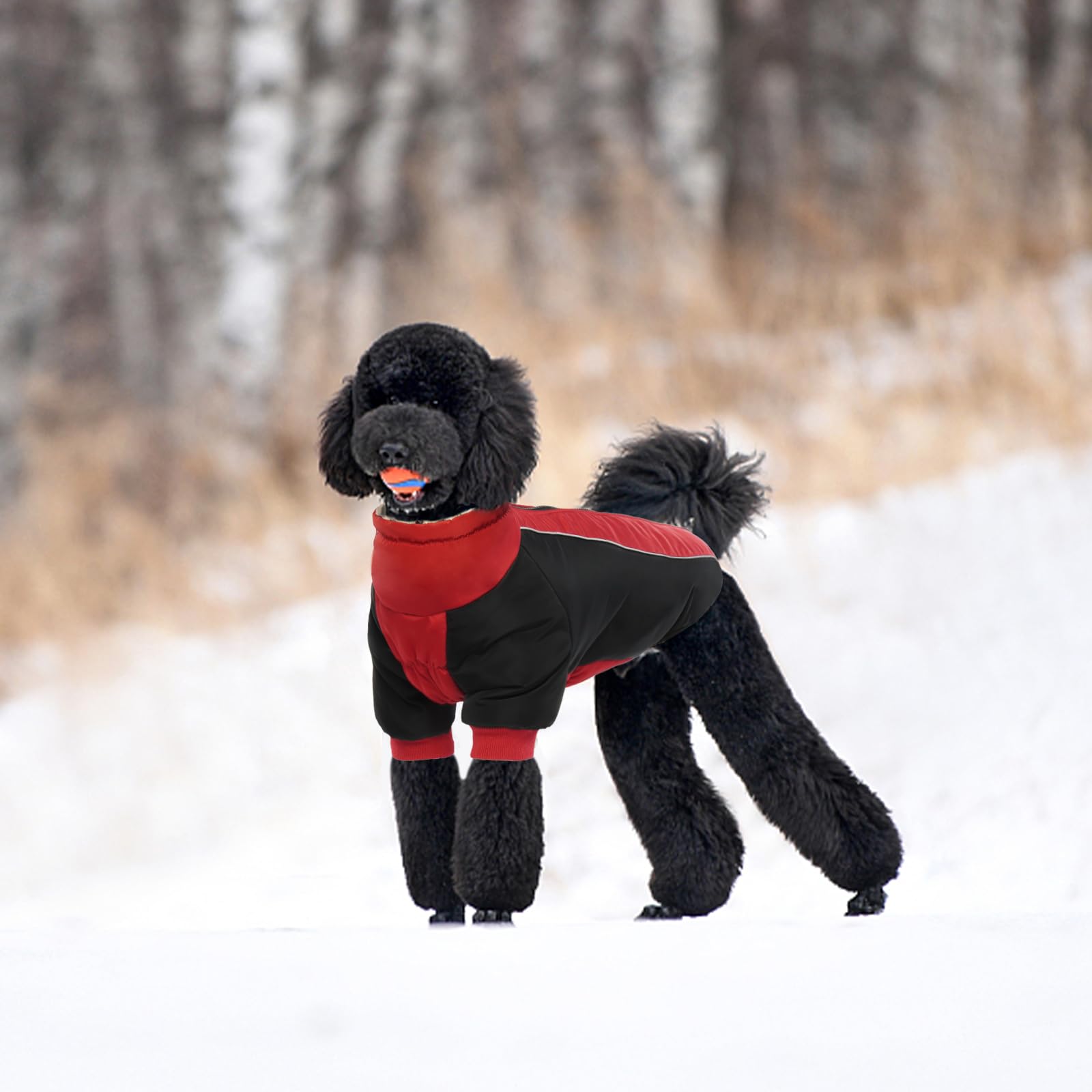 IDOMIK dog winter coat with reflective strap improves nighttime visibility