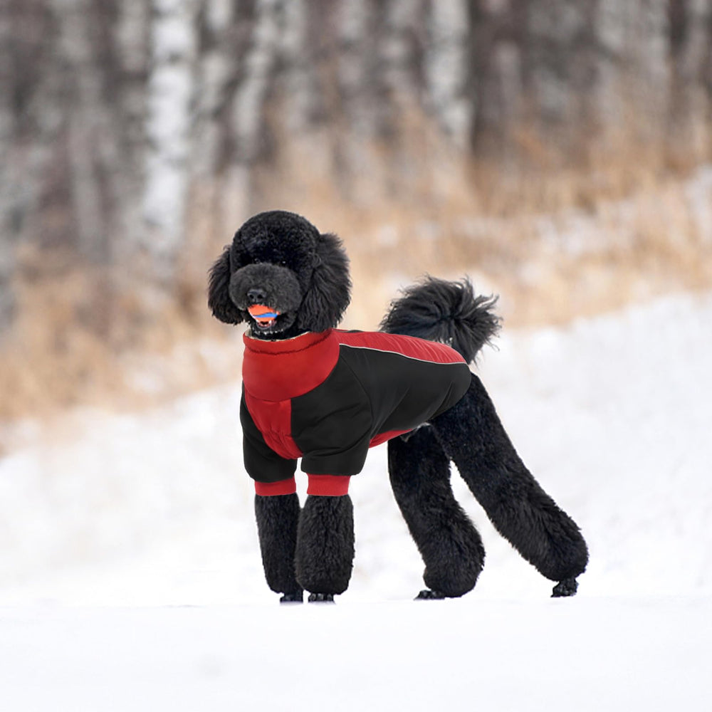 IDOMIK dog winter coat with reflective strap improves nighttime visibility