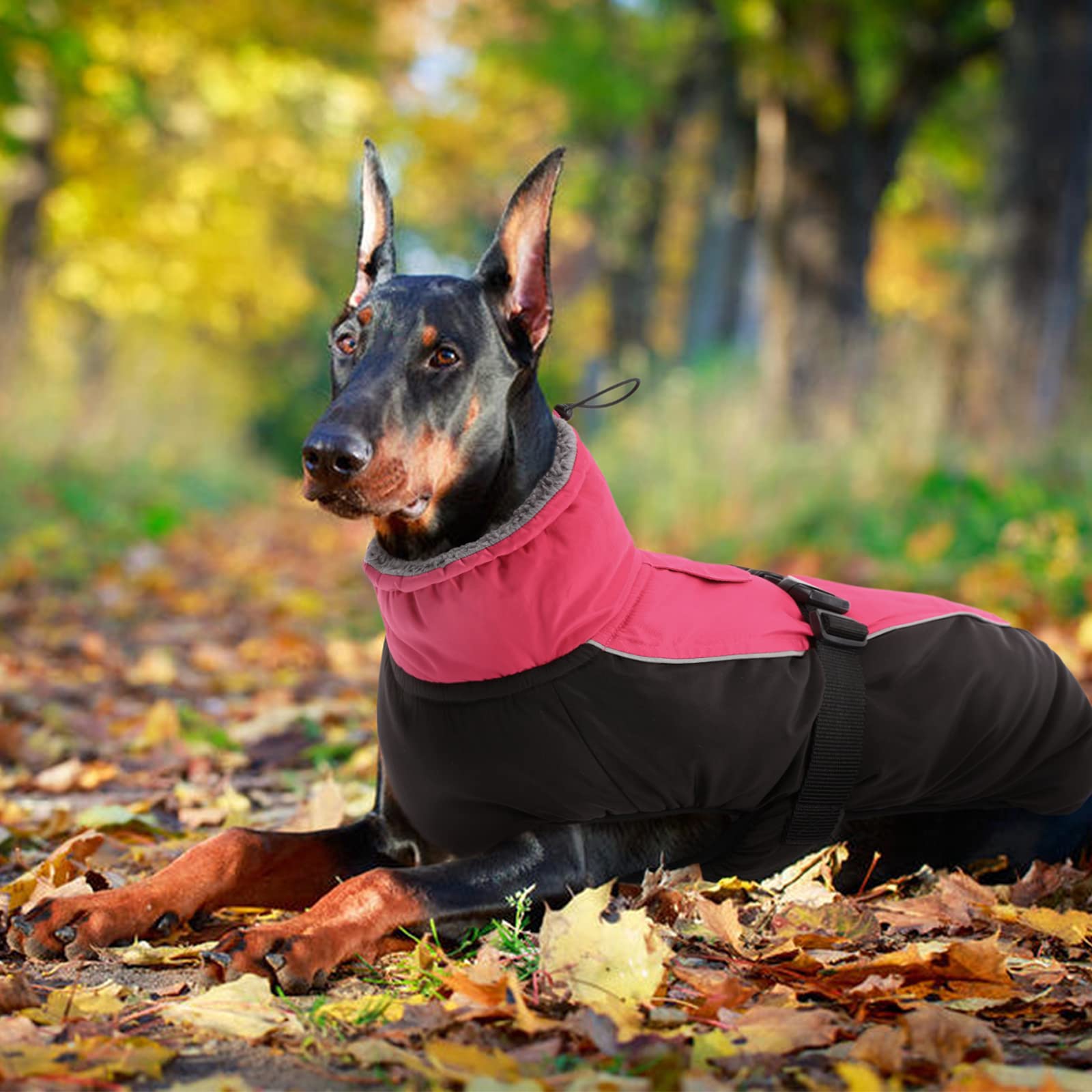 IDOMIK Dog Winter Coat size chart image helps choose the right fit