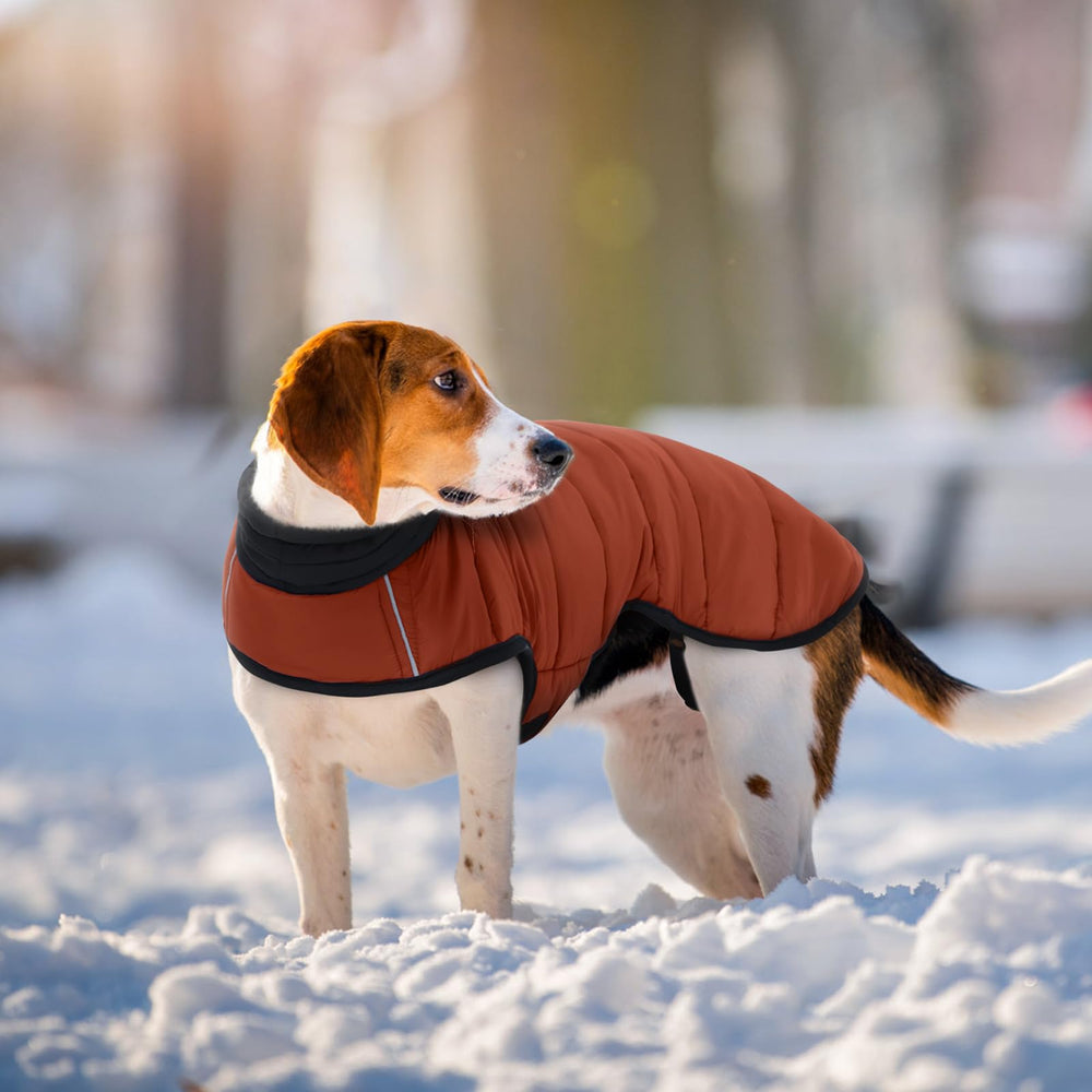 IDOMIK dog winter coat size chart shows seven size options