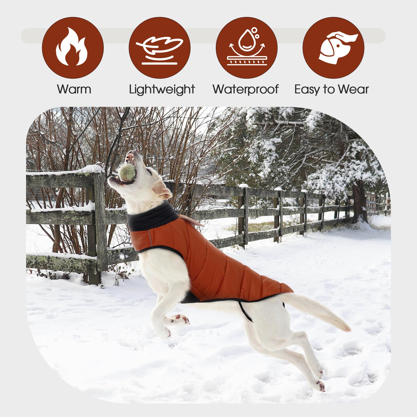 IDOMIK dog winter coat waterproof shell keeps paws dry in snow