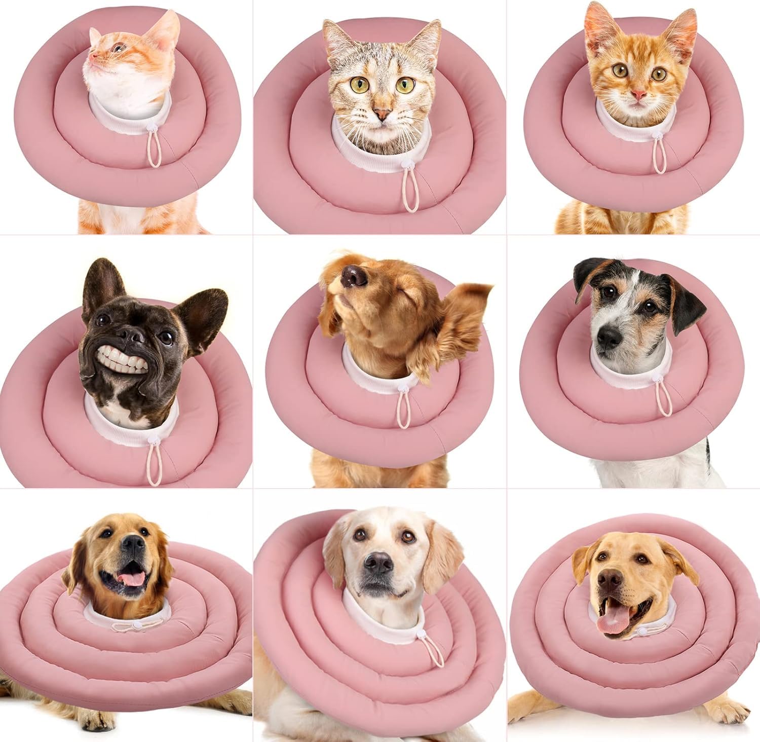 IDOMIK pink soft cone on a pet illustrating design