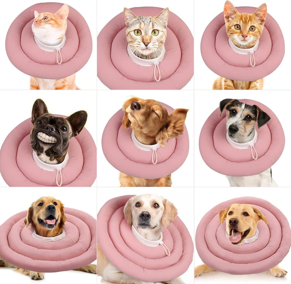 IDOMIK pink soft cone on a pet illustrating design