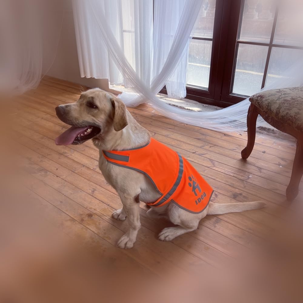 IDOU orange dog vest visible up to 750 feet at night for safety