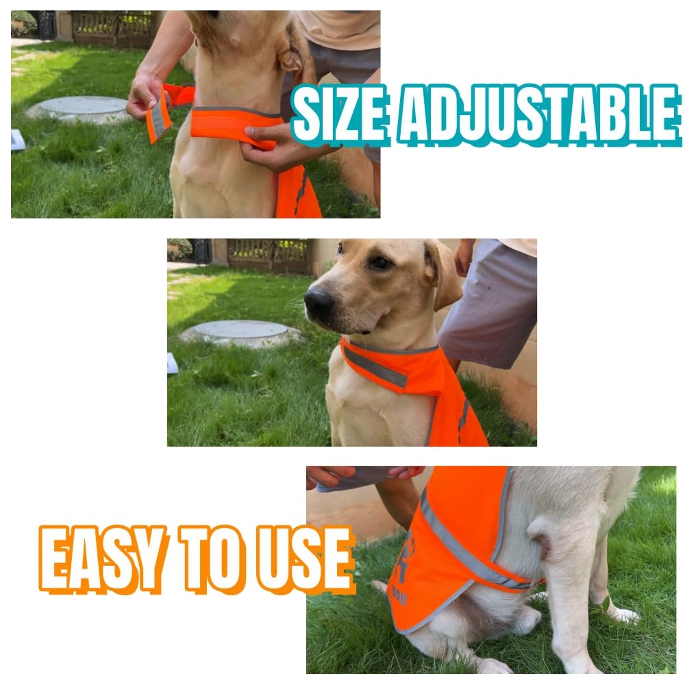 IDOU two-piece reflective dog vest set ready for versatile safety use