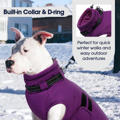 IECOii big dog winter coat built-in-collar keeps leash-ready convenience during outdoor strolls