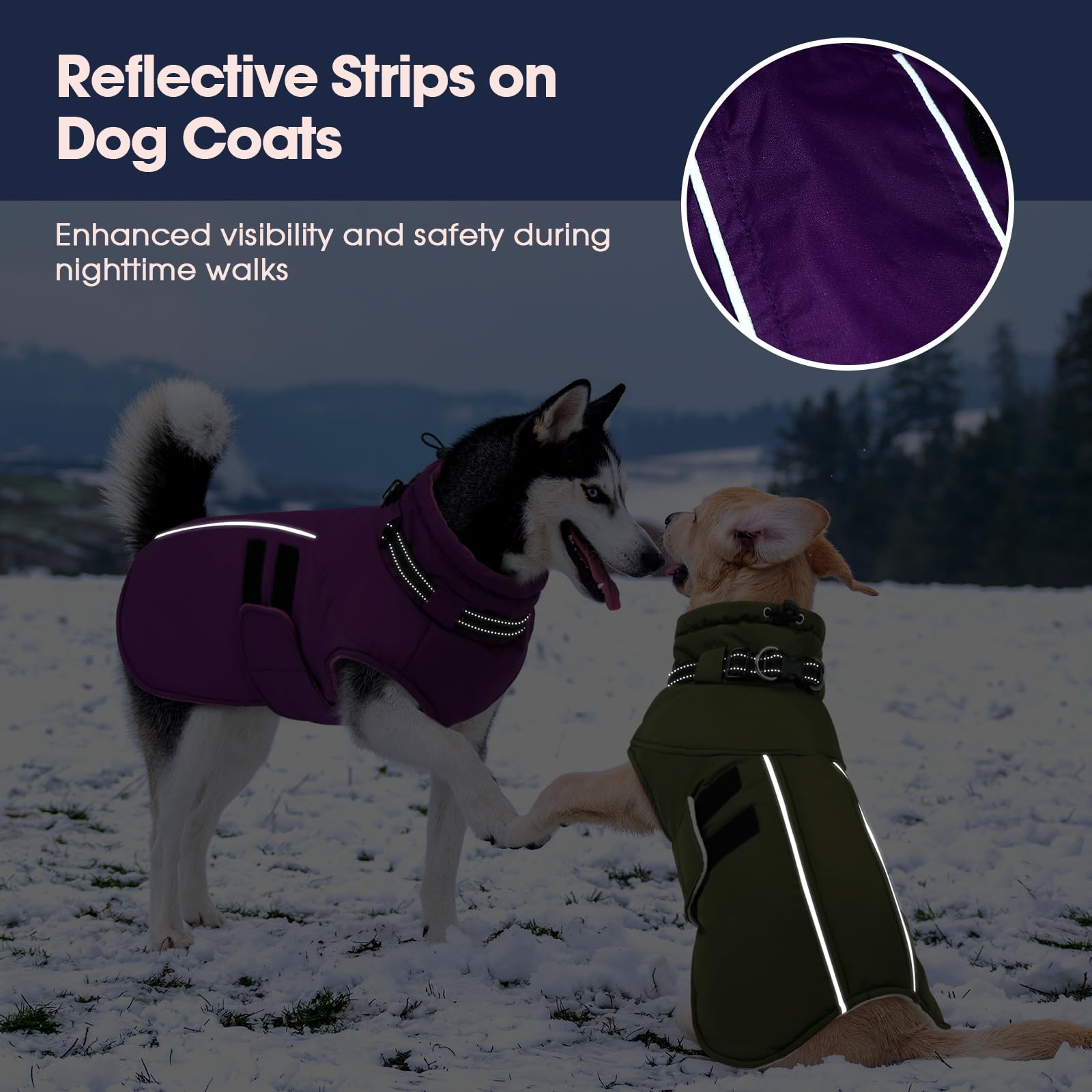 IECOii big dog winter coat d-ring-leash-attachment simplifies leash setup on walks