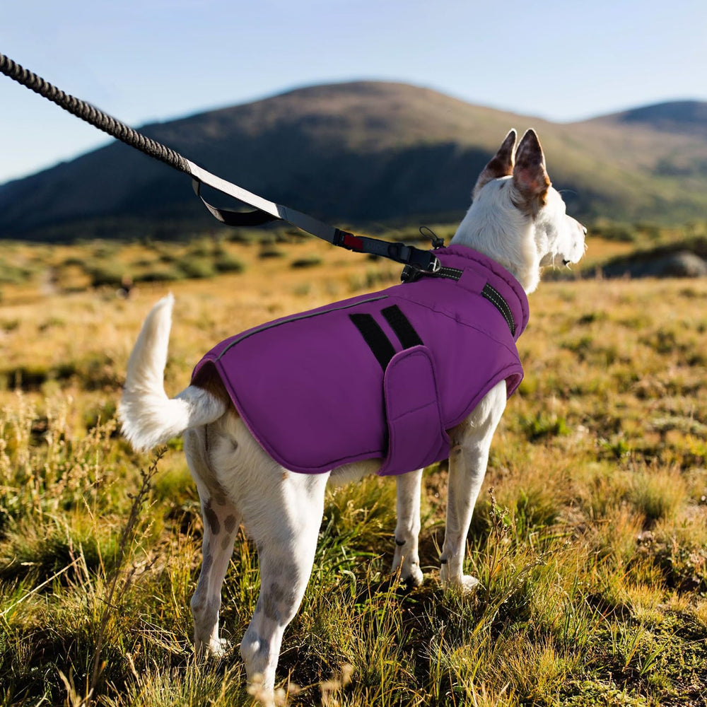 IECOii big dog winter coat easy-on-off-belly-straps for quick, hassle-free changes